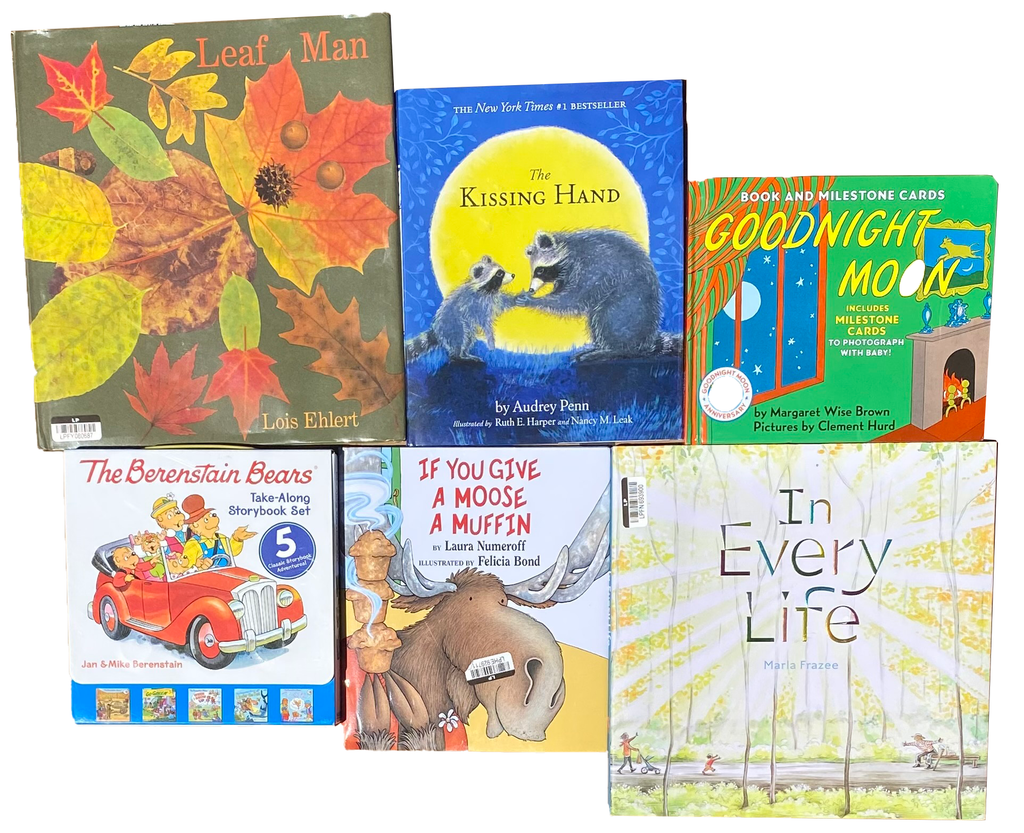 KIDS BOOKS LOT Of 10 Goodnight Moon Berenstain Bears Kissing Hand Leaf Man Etc.