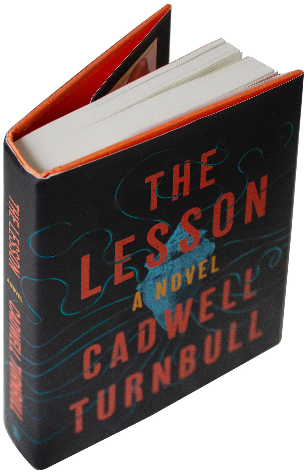 CADWELL TURNBULL SIGNED The Lesson 1ST EDITION 2019 HC Caribbean Alien Invasion