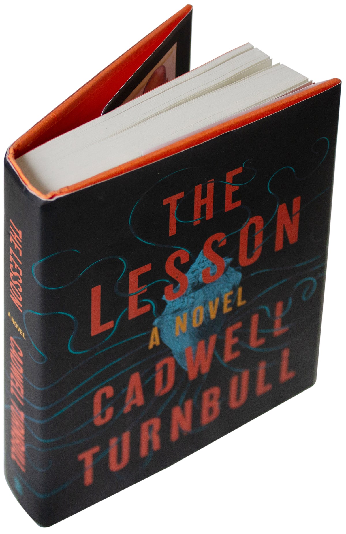 CADWELL TURNBULL SIGNED The Lesson 1ST EDITION 2019 HC Caribbean Alien Invasion