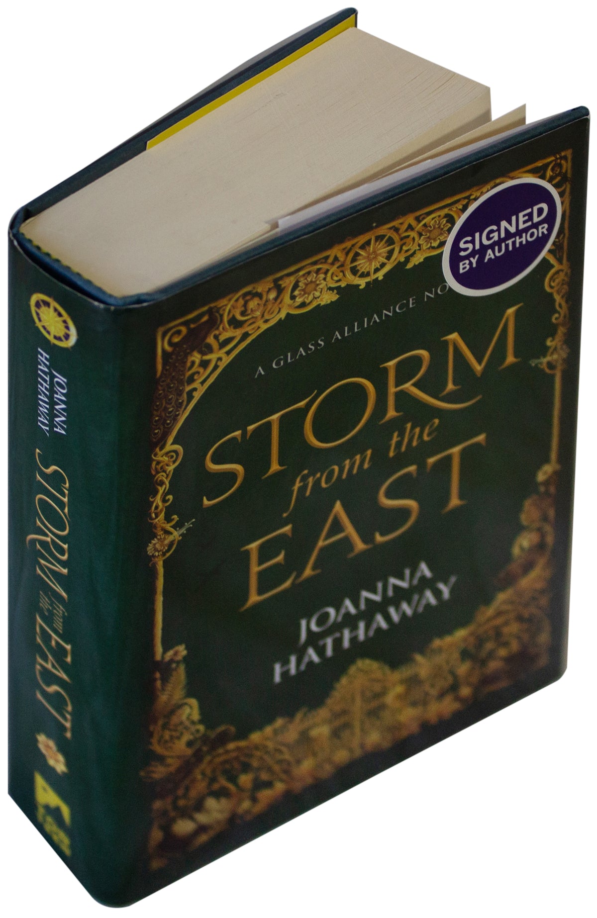 JOANNA HATHAWAY SIGNED Storm From The East 1ST EDITION Hardcover YA Adventure HC