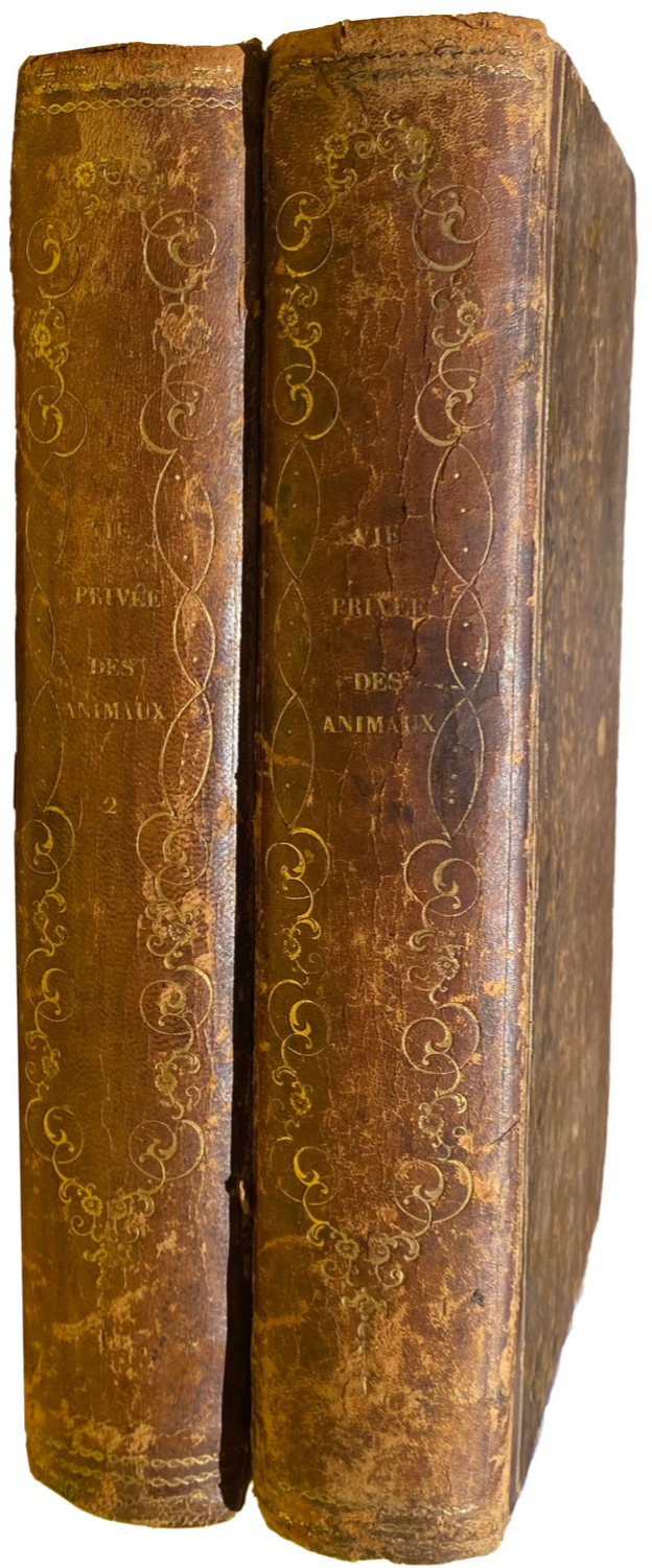 1842 ANTIQUE 2-VOLUME SET Scenes De La Vie Privee Et Publique Des Aanimux BALZAC