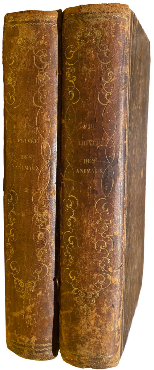 1842 ANTIQUE 2-VOLUME SET Scenes De La Vie Privee Et Publique Des Aanimux BALZAC