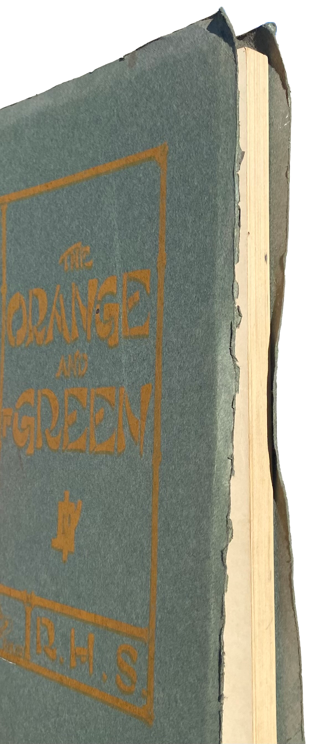 RIVERSIDE POLYTECHNIC & Girls High School 1919 YEARBOOK Orange & Green SoCal CA