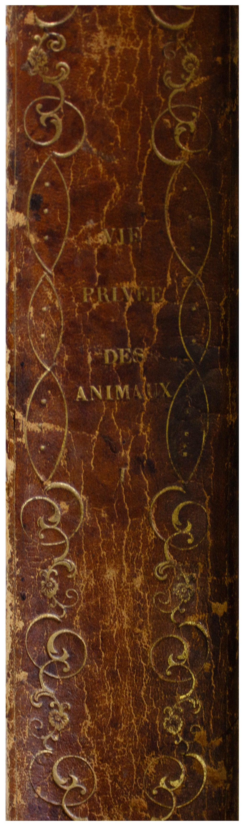 1842 ANTIQUE 2-VOLUME SET Scenes De La Vie Privee Et Publique Des Aanimux BALZAC