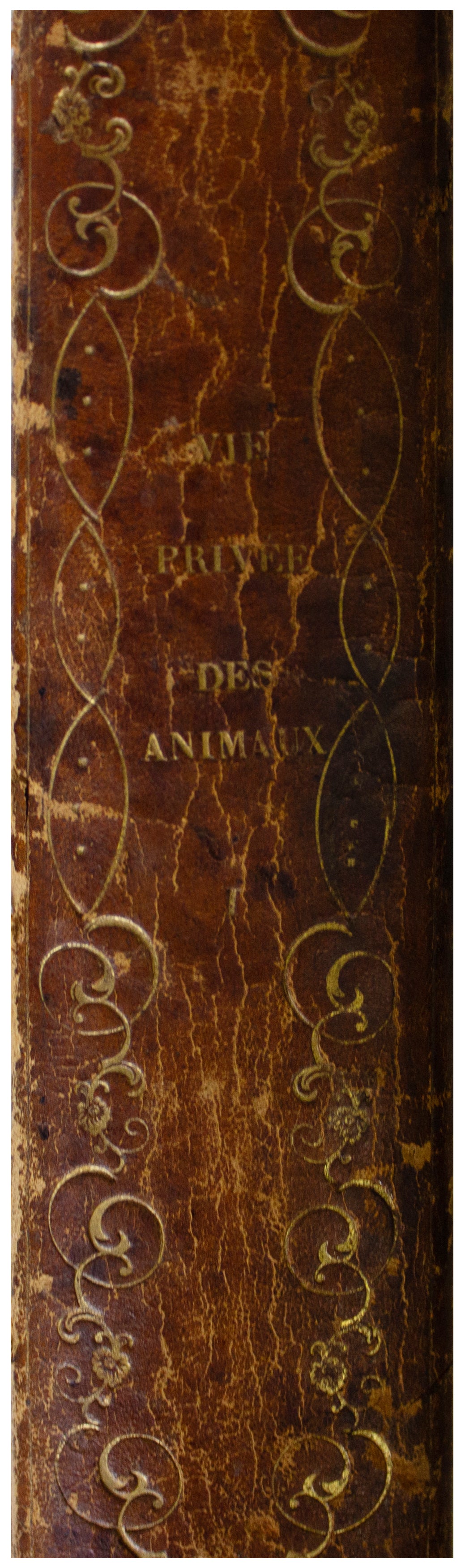 1842 ANTIQUE 2-VOLUME SET Scenes De La Vie Privee Et Publique Des Aanimux BALZAC