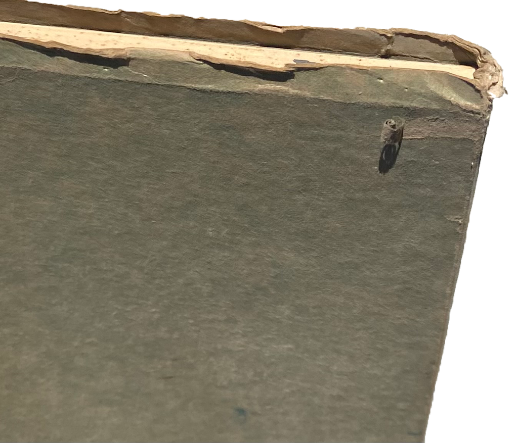 RIVERSIDE POLYTECHNIC & Girls High School 1920 YEARBOOK Orange & Green SoCal CA