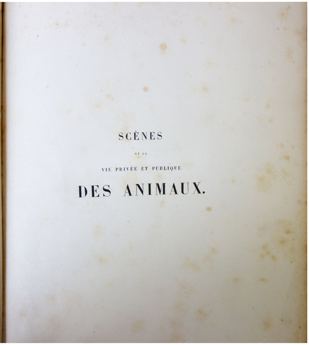 1842 ANTIQUE 2-VOLUME SET Scenes De La Vie Privee Et Publique Des Aanimux BALZAC