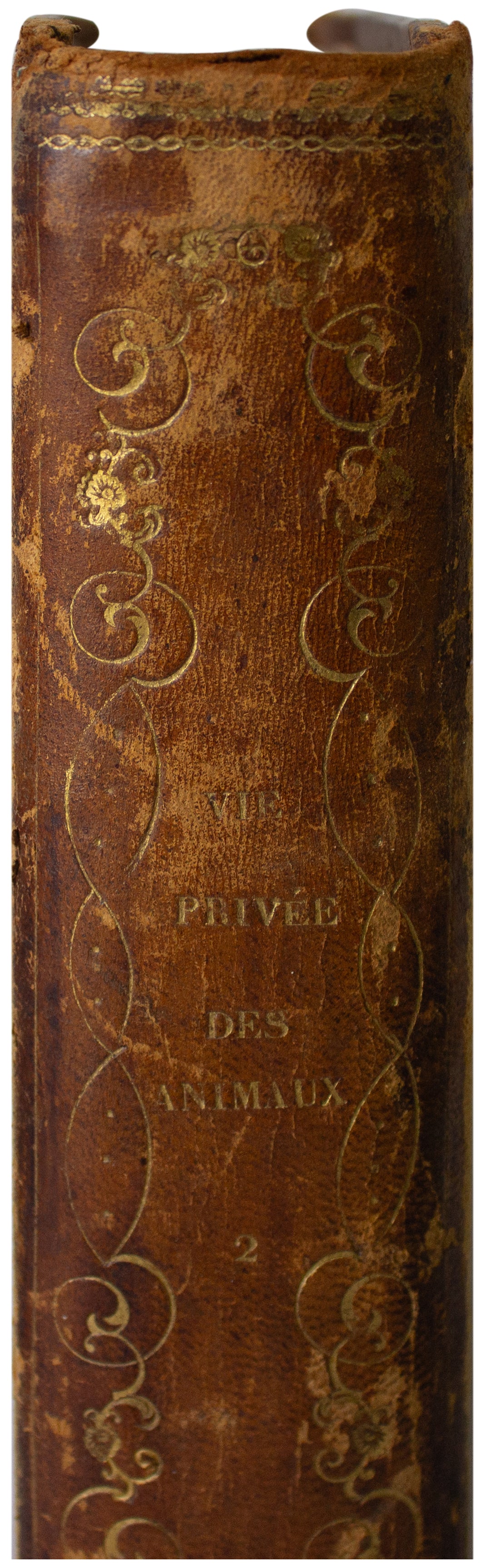 1842 ANTIQUE 2-VOLUME SET Scenes De La Vie Privee Et Publique Des Aanimux BALZAC