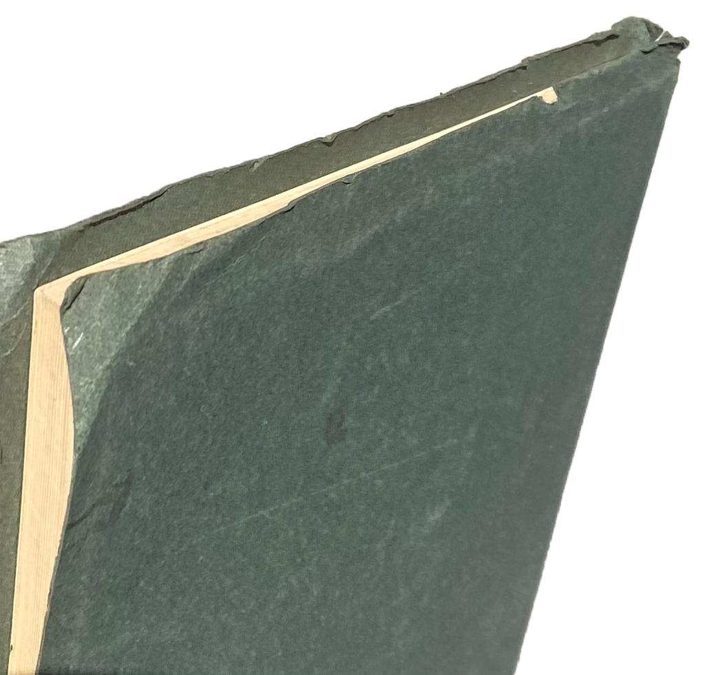 RIVERSIDE POLYTECHNIC & Girls High School 1919 YEARBOOK Orange & Green SoCal CA
